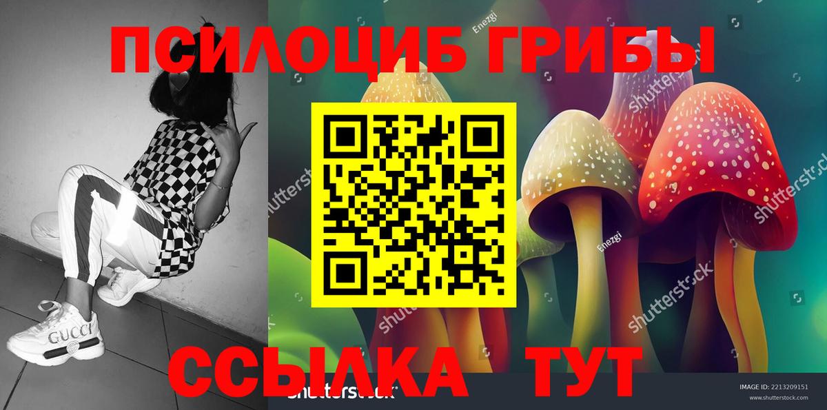 Галлюциногенные грибы мухоморы Хасавюрт