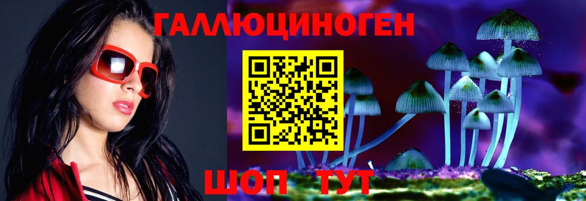Хасавюрт  Галлюциногенные грибы прущие грибы  Галлюциногенные грибы Cubensis  Вход с VPN 